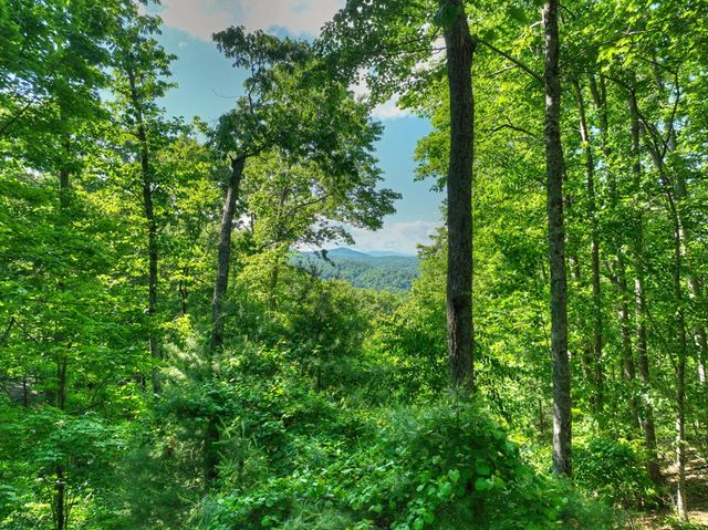 423 Laurel Creek Road, Blue Ridge, GA 30513