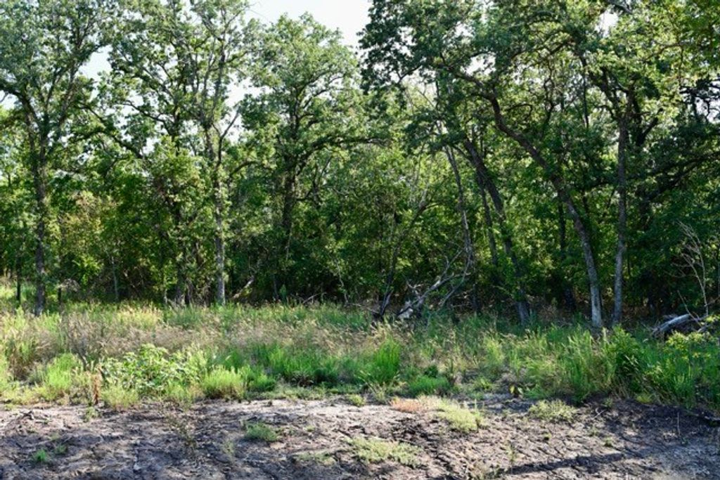 Lot 59 Camden Lane, Springtown, TX 76082