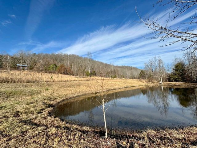 7099 S Hwy 9, Mountain View, AR 72560