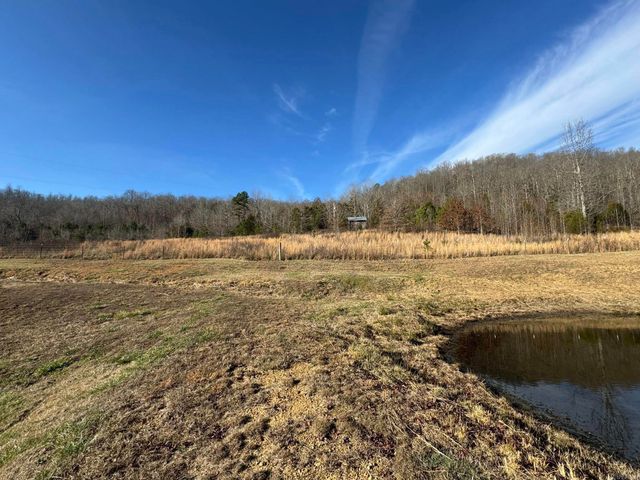 7099 S Hwy 9, Mountain View, AR 72560