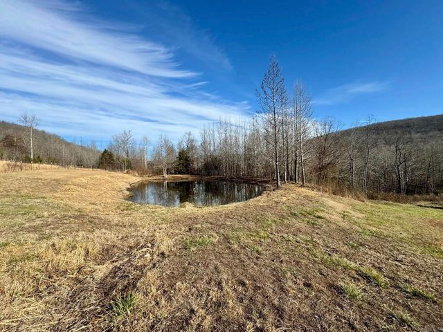 7099 S Hwy 9, Mountain View, AR 72560