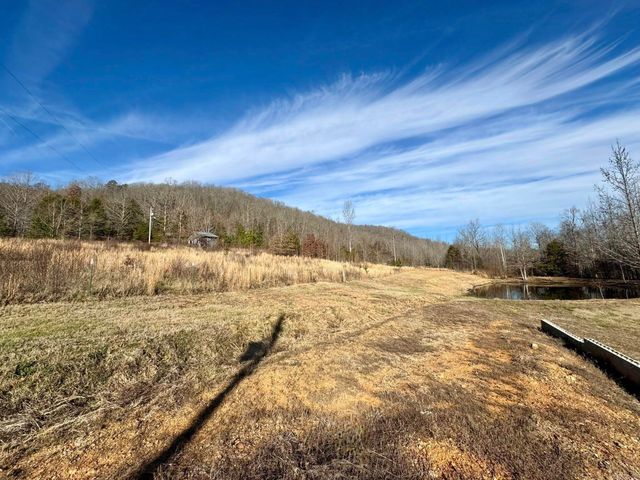 7099 S Hwy 9, Mountain View, AR 72560