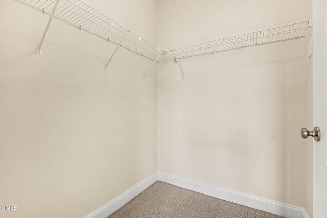 3810 Lunceston Way 301, Raleigh, NC 27613