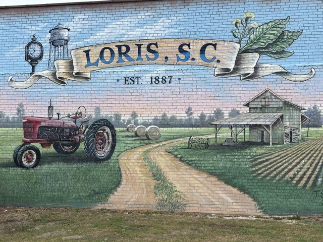 3860 Richardson St., Loris, SC 29569