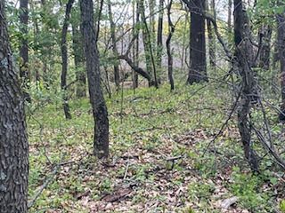 10411 Cynthia Lane, Wheatfield, IN 46392