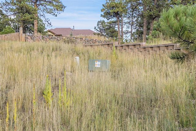 2317 Wieler Road, Evergreen, CO 80439