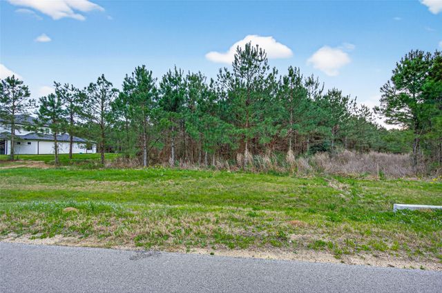 15661 Wood Grove Way, Willis, TX 77378