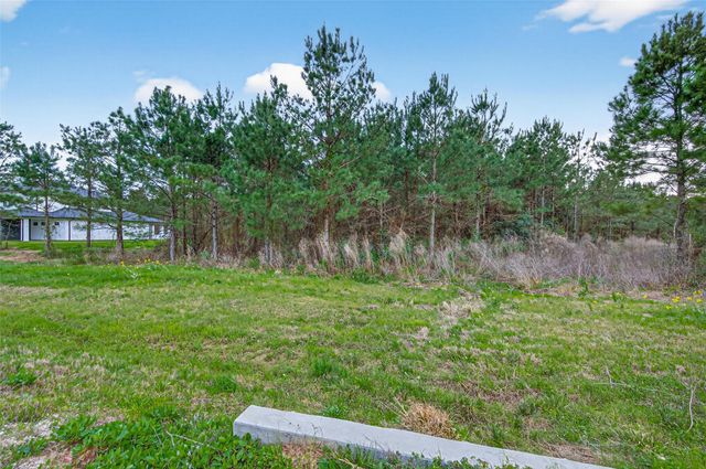 15661 Wood Grove Way, Willis, TX 77378