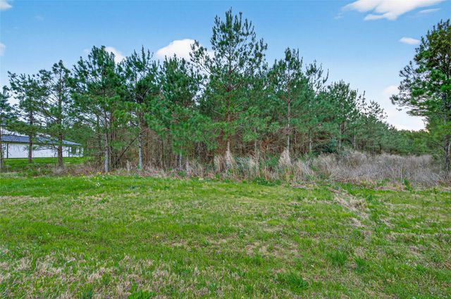 15661 Wood Grove Way, Willis, TX 77378