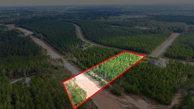 15661 Wood Grove Way, Willis, TX 77378