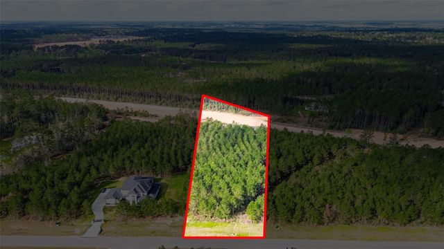 15661 Wood Grove Way, Willis, TX 77378