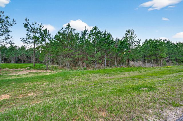 15661 Wood Grove Way, Willis, TX 77378