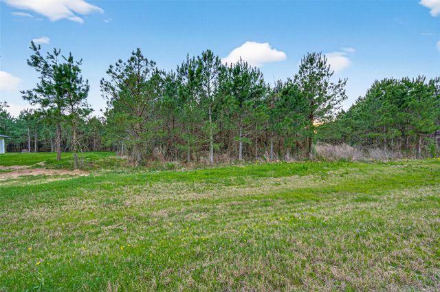 15661 Wood Grove Way, Willis, TX 77378