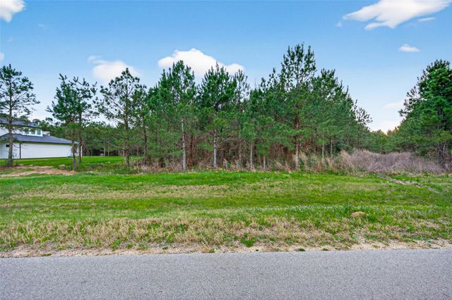 15661 Wood Grove Way, Willis, TX 77378