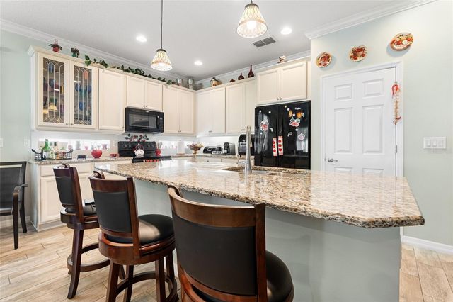 1231 MERION DRIVE, Mount Dora, FL 32757
