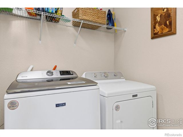 690 W 64th Street, Loveland, CO 80538