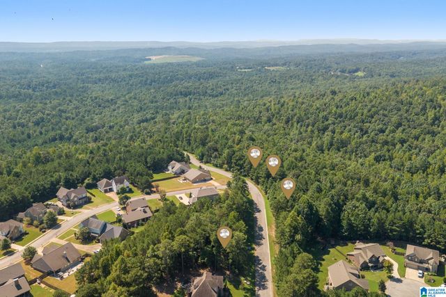 5538 CARRINGTON LAKE PARKWAY, Trussville, AL 35173
