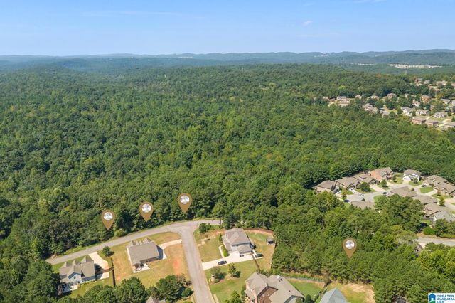 5538 CARRINGTON LAKE PARKWAY, Trussville, AL 35173