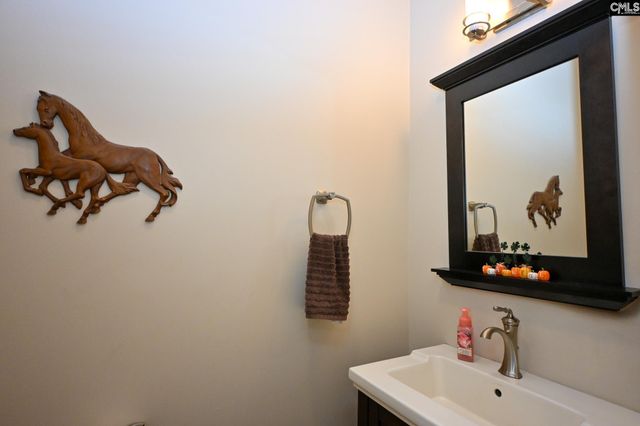 225 Pisgah Court, Lexington, SC 29072