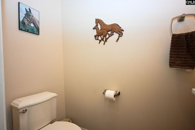 225 Pisgah Court, Lexington, SC 29072