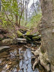 134 Windridge Drive, Dunlap, TN 37327