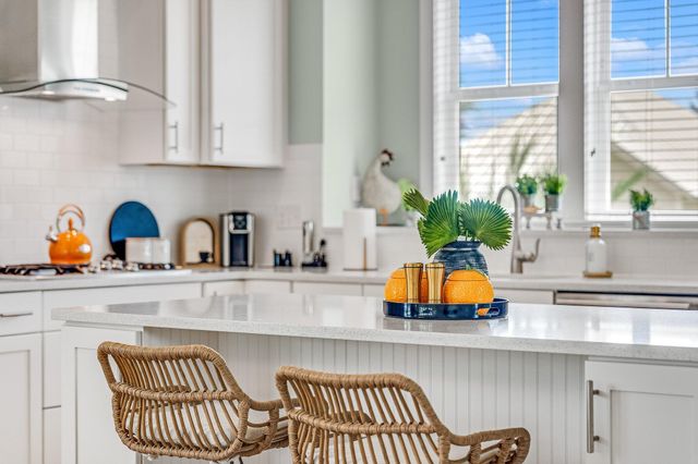 79 S Grande Pointe Drive, Inlet Beach, FL 32461