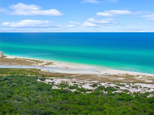 79 S Grande Pointe Drive, Inlet Beach, FL 32461