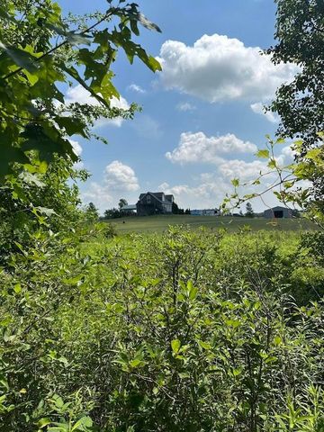 21850 Bear Swamp Road, Marysville, OH 43040