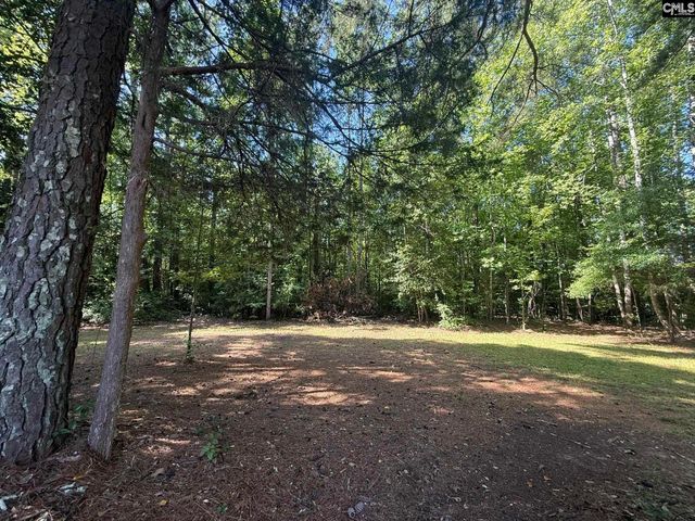12541 Broad River Road, Little Mountain, SC 29075