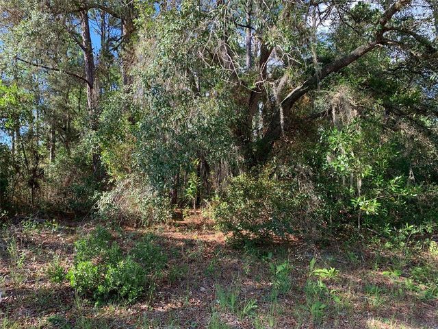 4081 W FINDLAY STREET, Dunnellon, FL 34433