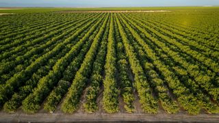 11885 Road 9, Madera, CA 93637