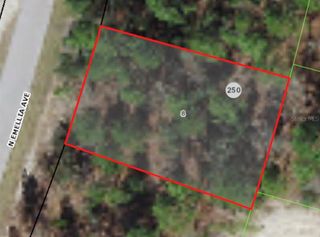 9819 N EMELLIA AVENUE, Citrus Springs, FL 34433