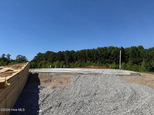 51 Fiddleneck Court, Selma, NC 27576