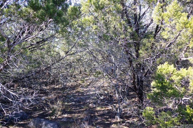 LOT 26 Leona Ranch, Brackettville, TX 78832