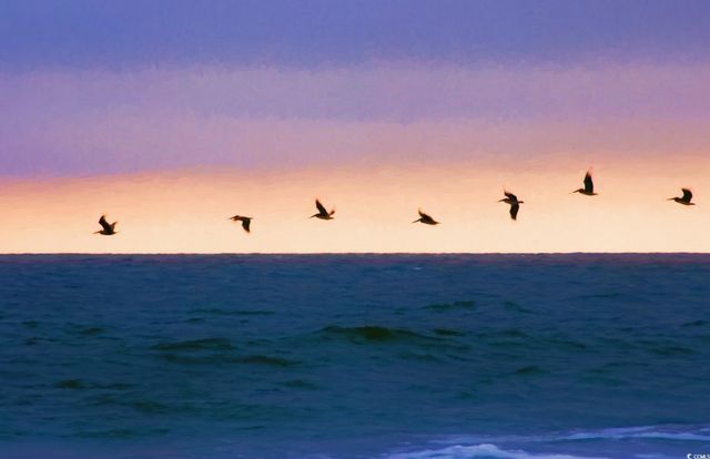 Lot 1-A Brace Dr., Pawleys Island, SC 29585