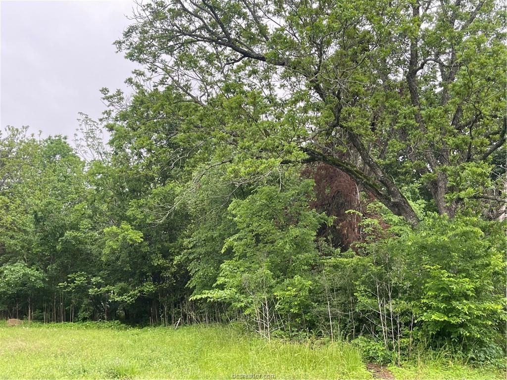 1403 Tisdale Street, Bryan, TX 77808 — photo 4