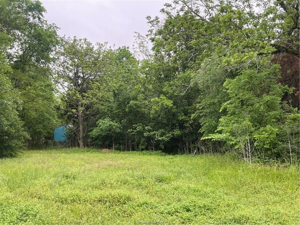 1403 Tisdale Street, Bryan, TX 77808 — photo 5