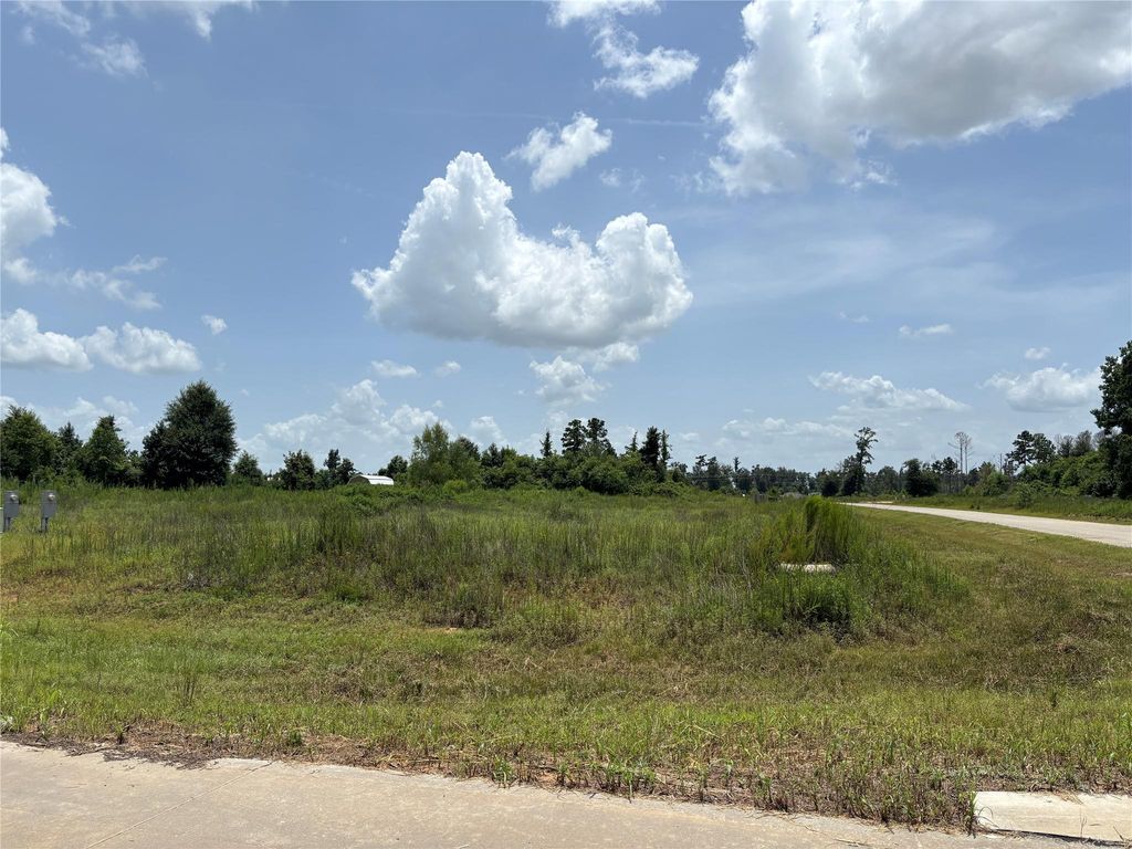 121 Road 5888, Cleveland, TX 77327