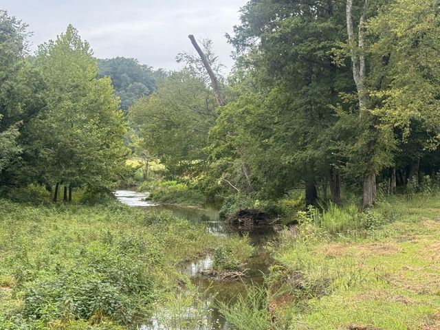 0 Upper Standing Rock Rd, Dover, TN 37058
