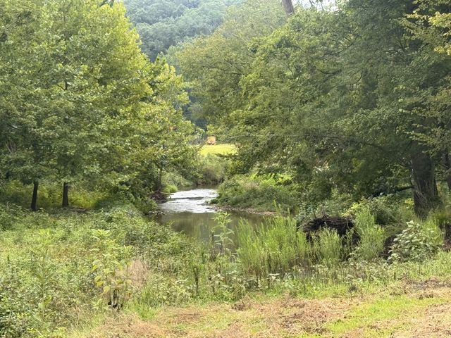 0 Upper Standing Rock Rd, Dover, TN 37058
