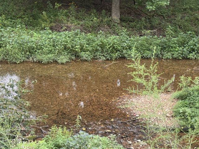 0 Upper Standing Rock Rd, Dover, TN 37058