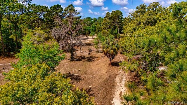 4544 S Slash Pine Avenue, Homosassa, FL 34446