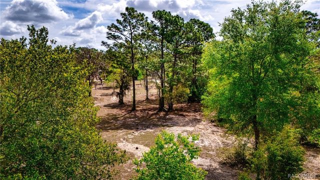 4544 S Slash Pine Avenue, Homosassa, FL 34446