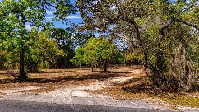 4544 S Slash Pine Avenue, Homosassa, FL 34446