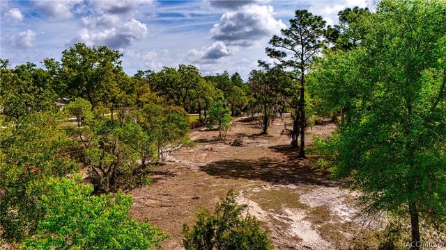 4544 S Slash Pine Avenue, Homosassa, FL 34446