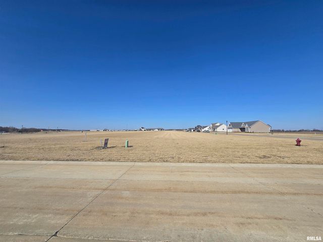 803 DARNALL Drive, Geneseo, IL 61254