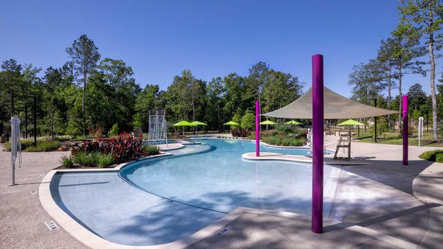 153 Hickory Forest Court, Willis, TX 77318