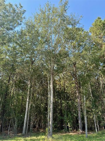 TBD Stonebrook Drive, Livingston, TX 77351