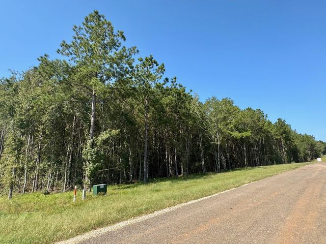 TBD Stonebrook Drive, Livingston, TX 77351