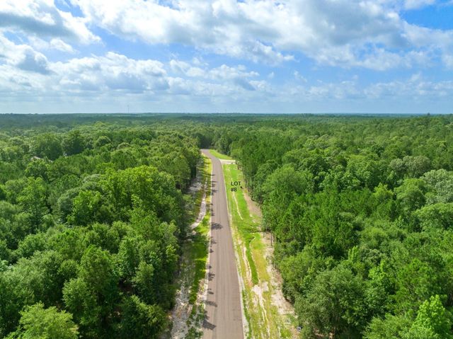 TBD Stonebrook Drive, Livingston, TX 77351